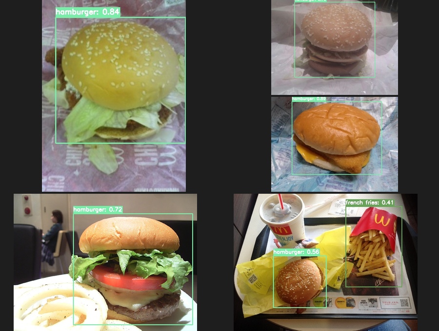 Hamburger Detection